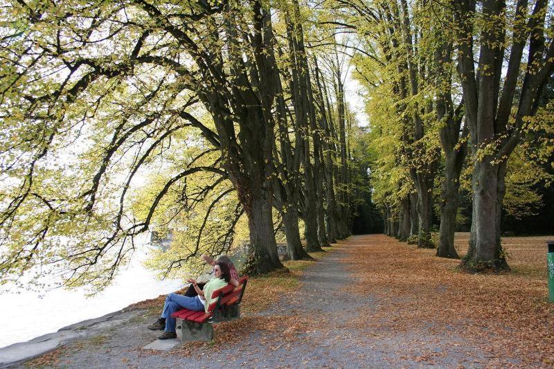 Ferienhof Schoengarten Lindau  Zewnętrze zdjęcie